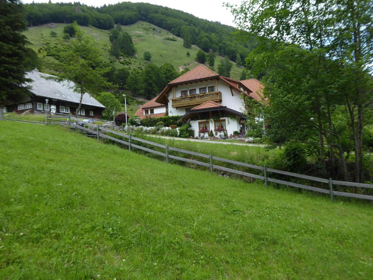 Apartment In Brandenberg With Terrace Todtnau Exterior photo