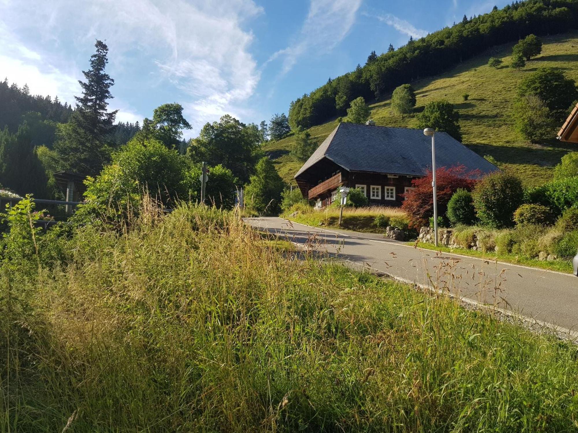 Apartment In Brandenberg With Terrace Todtnau Exterior photo